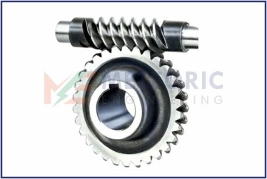 special worm shaft & gear.jpg